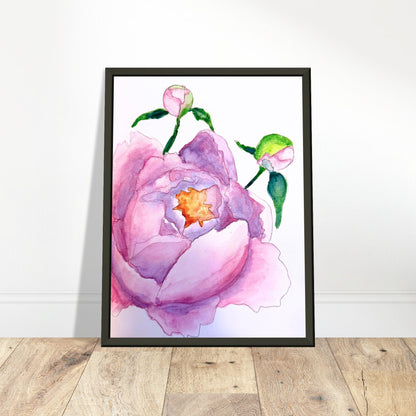 Watercolor Peony Blossom  6