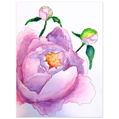 Watercolor Peony Blossom   1