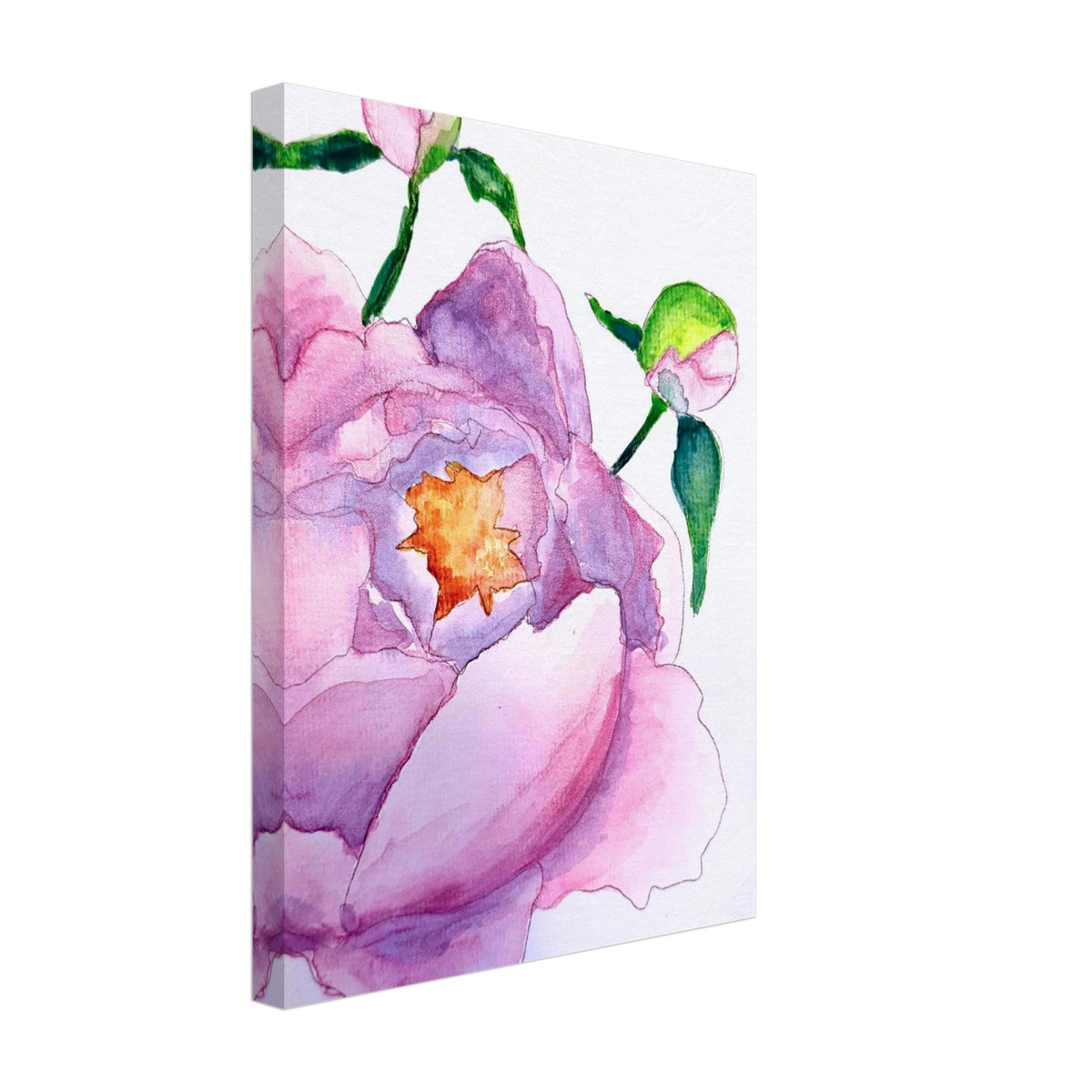 Watercolor Peony Blossom  7